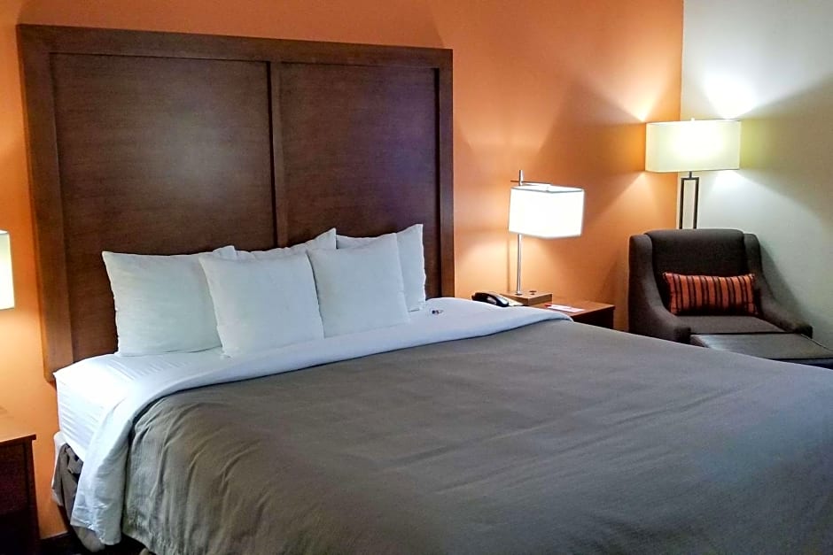 Econo Lodge Inn & Suites East Houston I-10