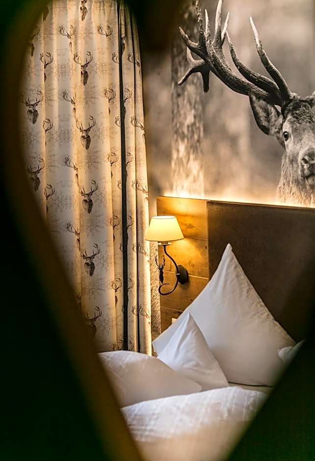 Hotel Restaurant Krone & Wellness - Schopfheim