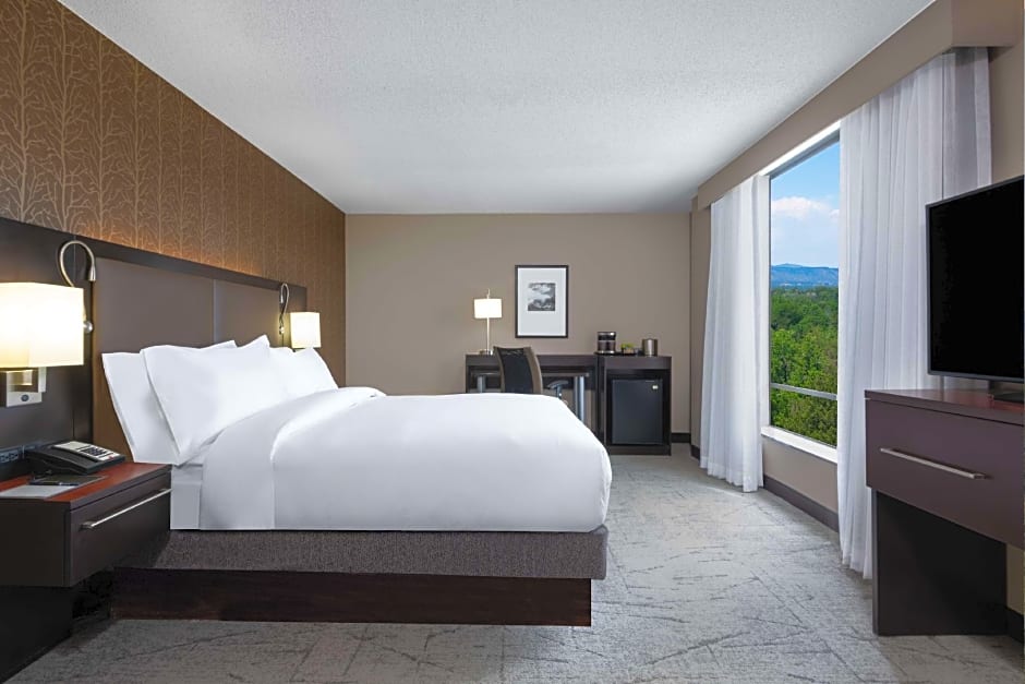 Photo 1 of 6 of 1 Queen Bed, Hearing Accessible, Mountain View
