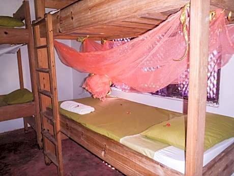 Bed in 6-Bed Mixed Dormitory Room