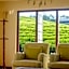 Villa Tea Fields