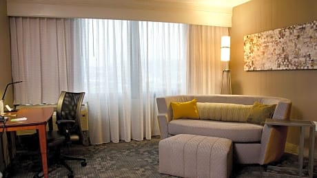 Suite, 1 King, Sofa bed