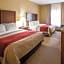 Comfort Inn & Suites Morganton South