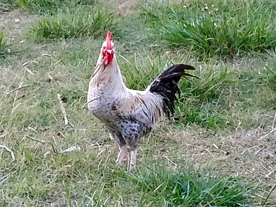 La ferme des Escampades