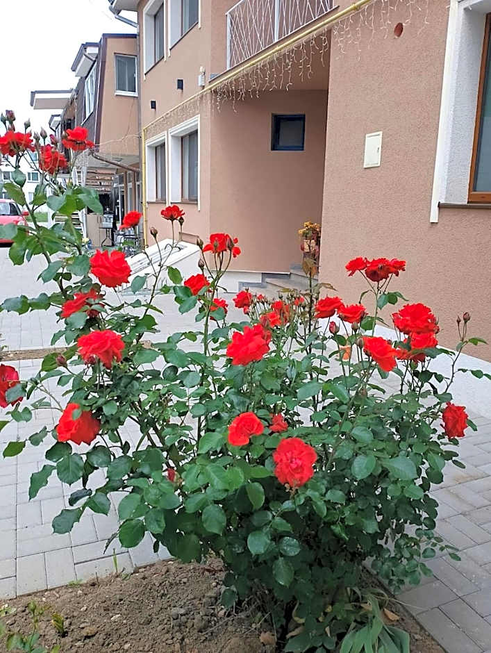 Premont Studios Ghimbav