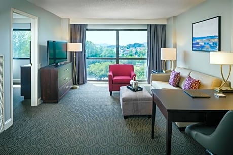 1 king bed exec level w/shower only,sofabed-frige-micro-serenity bed,comp wifi-exec lounge bkft and mgr recep