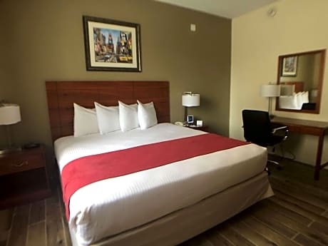 1 king bed, non-smoking, lower floor, work desk, microwave and refrigerator, wi-fi, continental breakfast