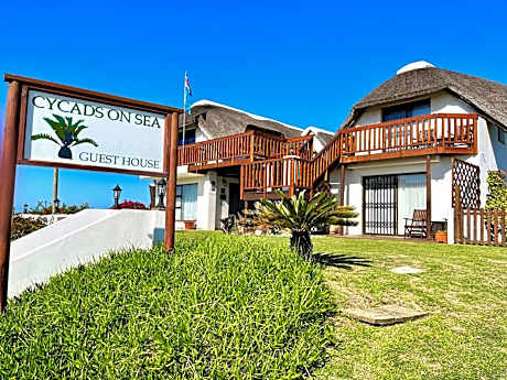 Cycads on Sea Guest House