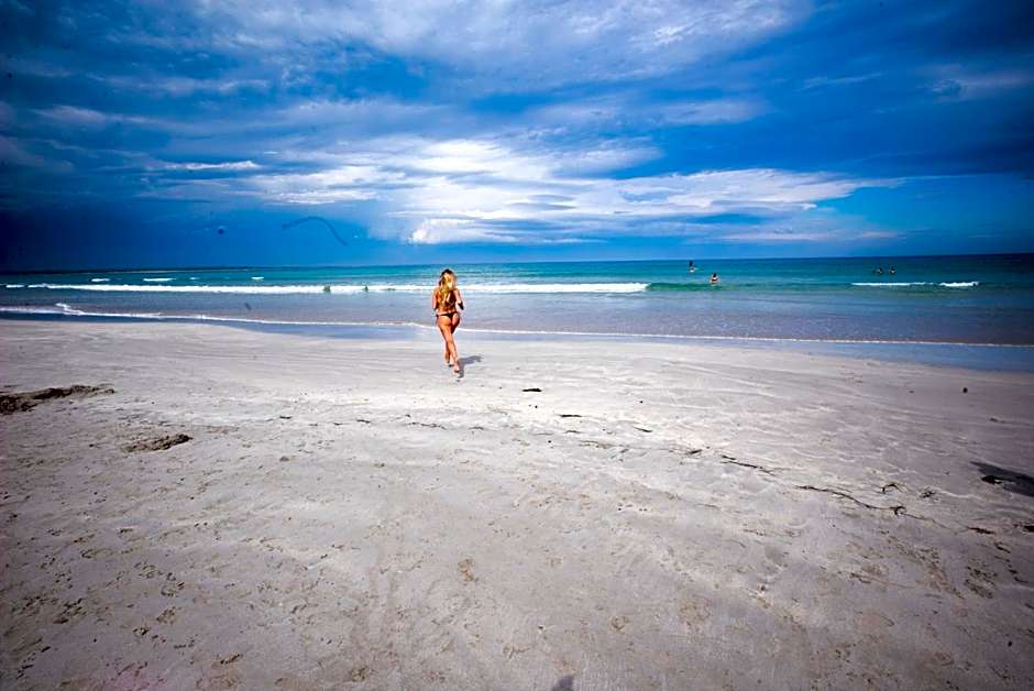 The Wandering Whale Port Fairy