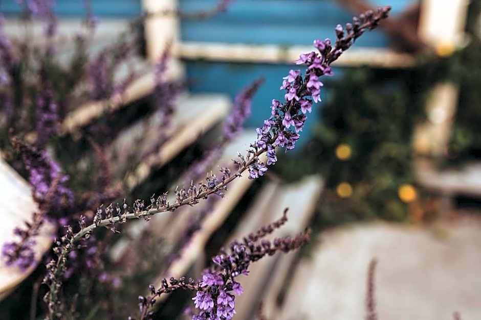 The Oceanfront Hotel