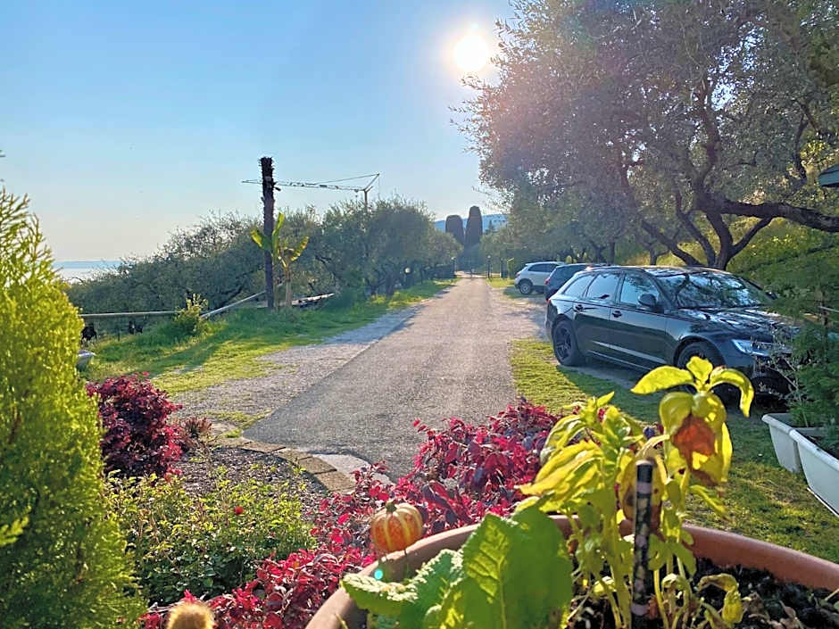 Relais Villa Olivi