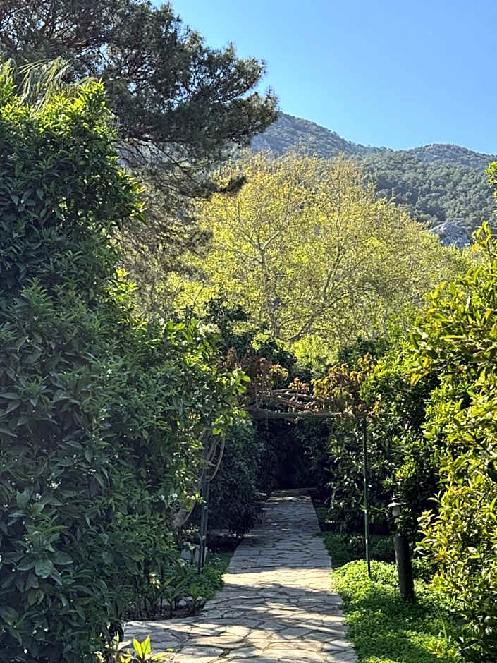 Hotel Yavuz Bungalow