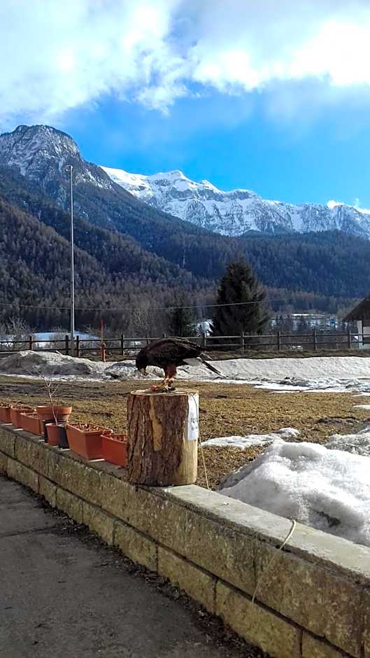 B&B Nido Delle Aquile