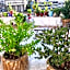 Sun Rise Hotel & Hostel & Tours