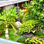 HOTEL ASRI CIREBON