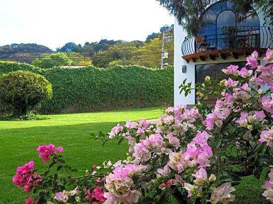 Colibri Hotel