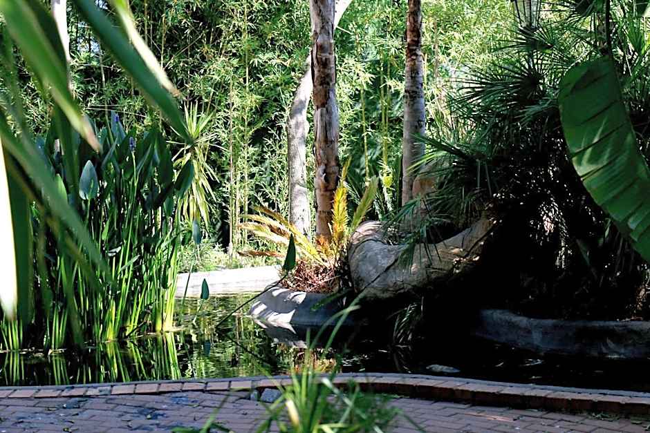 Summerview Guest Lodge