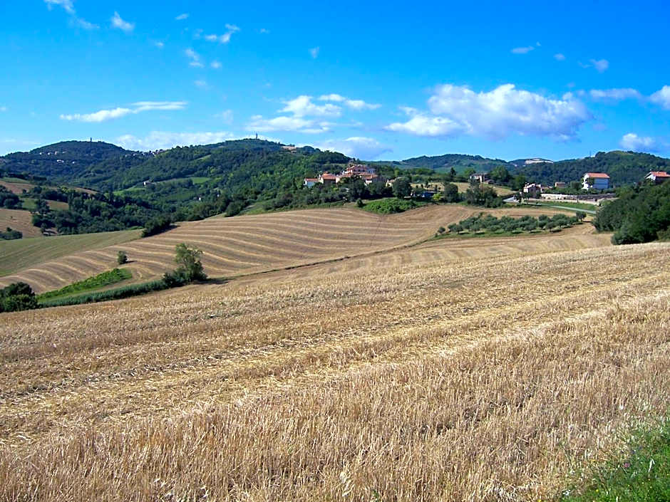 Casa Cairo Rooms&Services