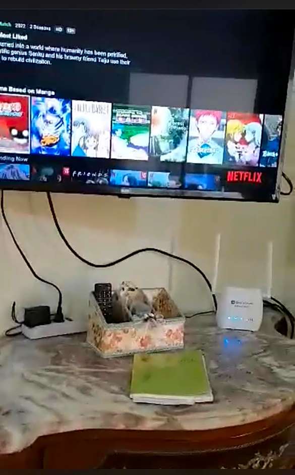 San Remo Oasis SRP View Wifi Netflix