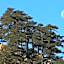 Valia Calda Hotel