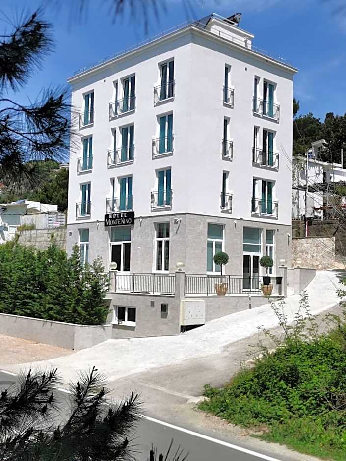 Hotel MonteNino