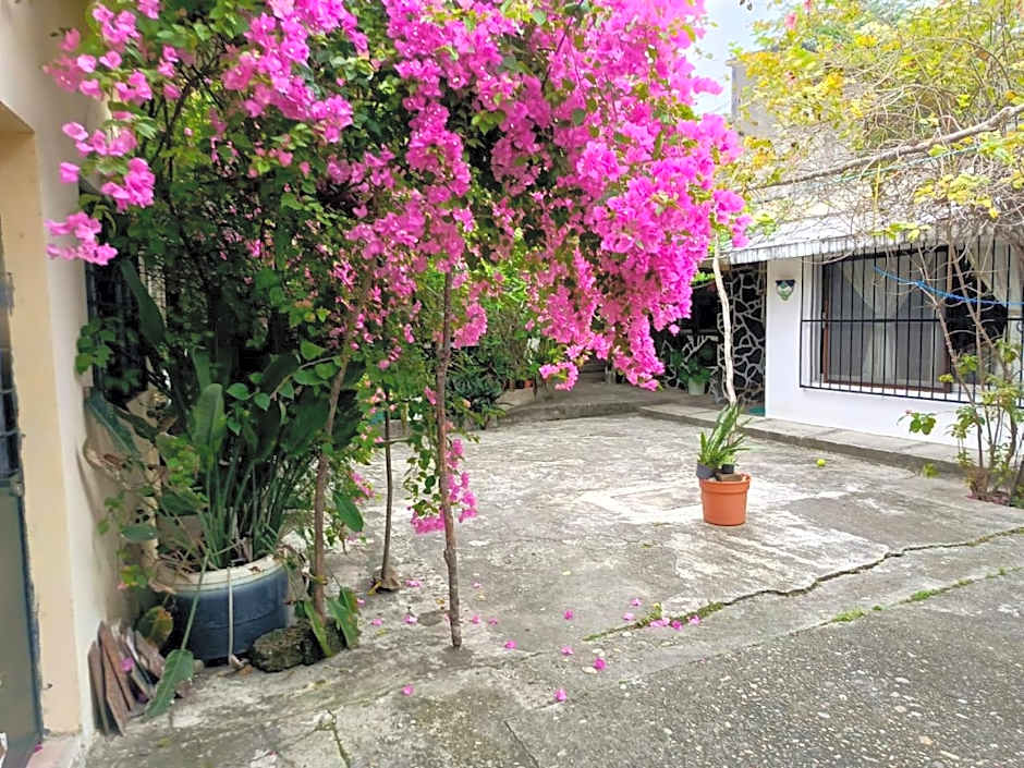 Posada Familiar Papantla