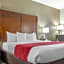 Comfort Inn & Suites Covington - Mandeville