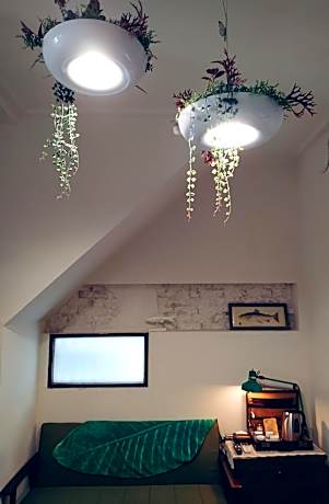 Superior Family Room