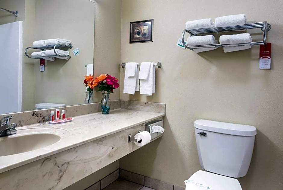 Econo Lodge Inn & Suites Rockmart