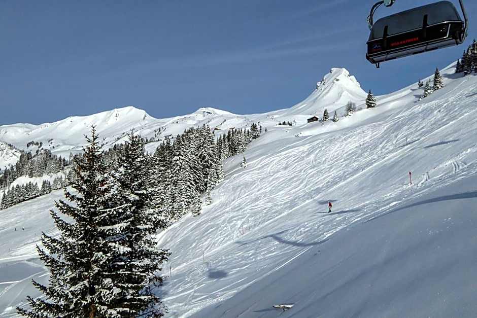 Alpine Lifestyle Berghotel Madlener