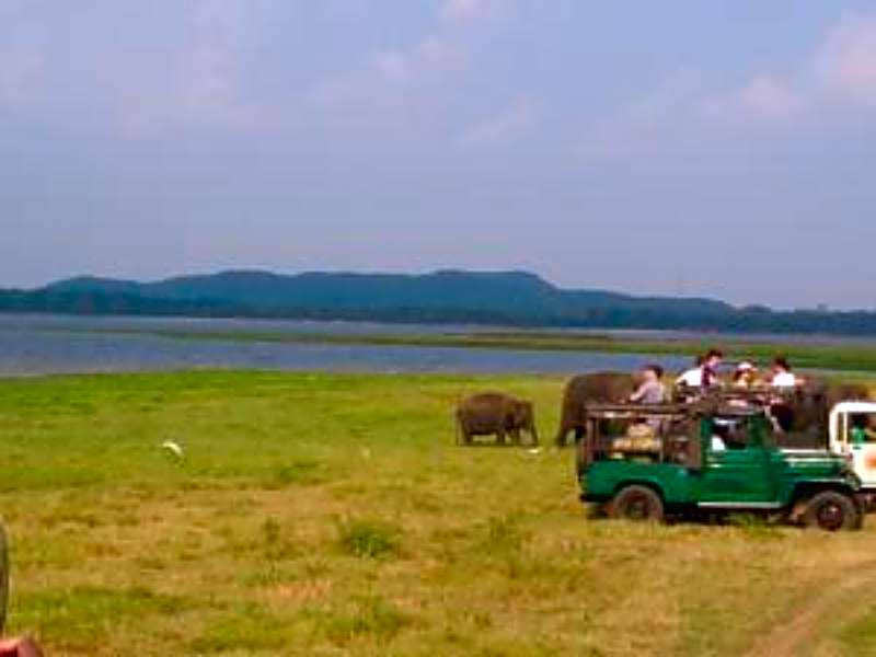 Apsaras Resort Sigiriya