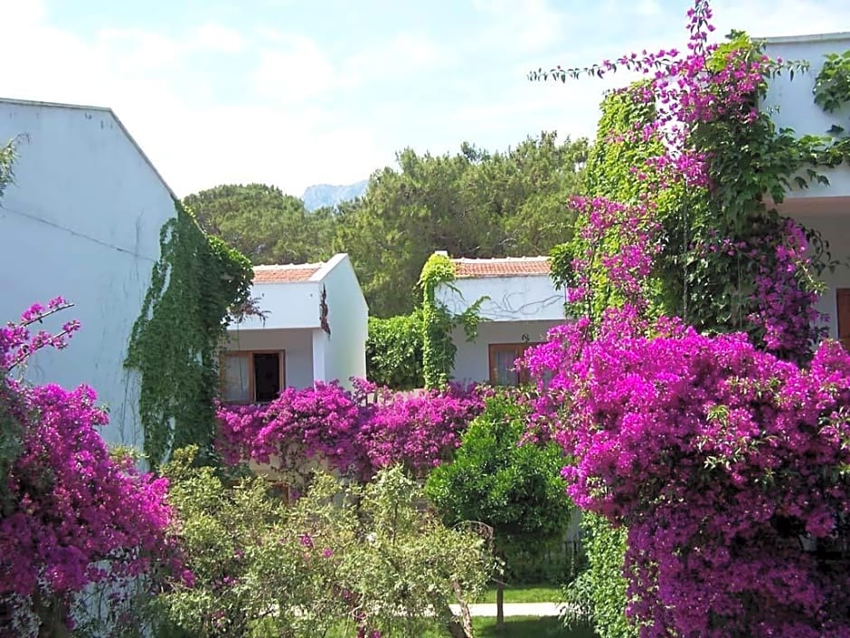 Club Boran Mare Beach - All Inclusive