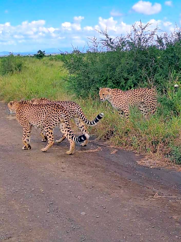 Khululeka Safaris Lodge