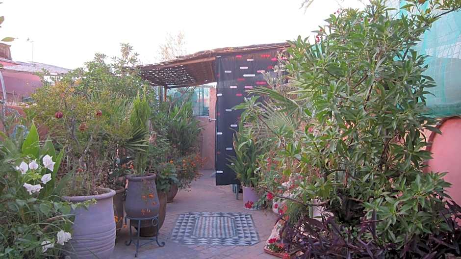 Riad Maizie