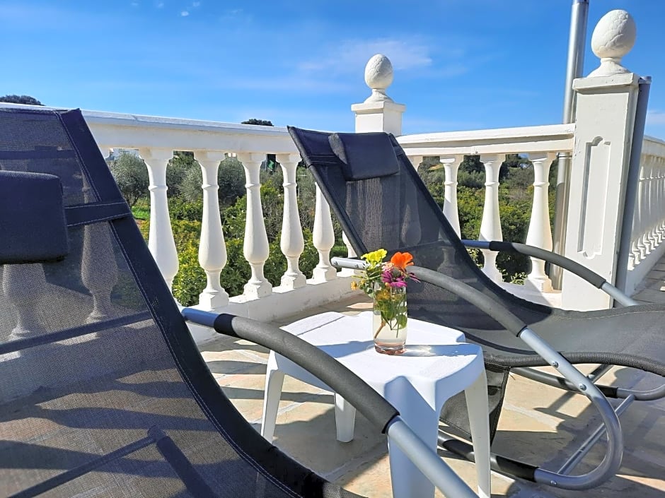 Finca Sueño de Vida