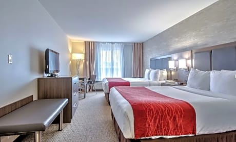 2 Queen Beds, Superior Room