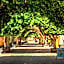 Hotel Santa Fe Loreto by Villa Group
