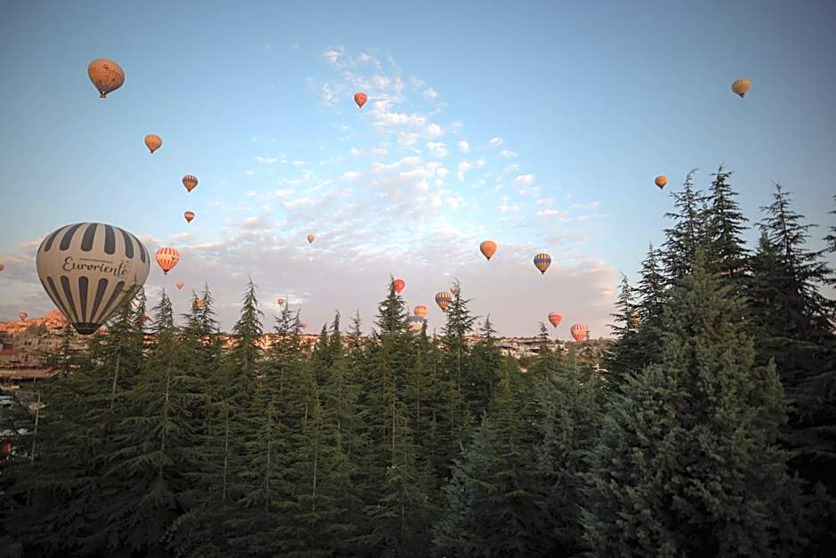 Feel Cappadocia Stone House