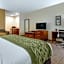 Comfort Inn & Suites Lenoir Hwy 321 Northern Foothills
