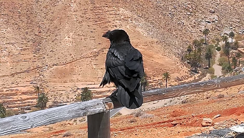 Hostal o Pensión Descanso y Relax