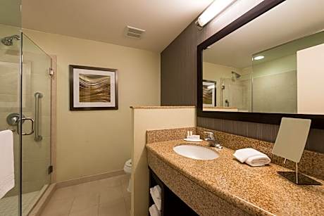 Suite, 1 Bedroom (1 King Bed and 1 Double Sofa Bed)