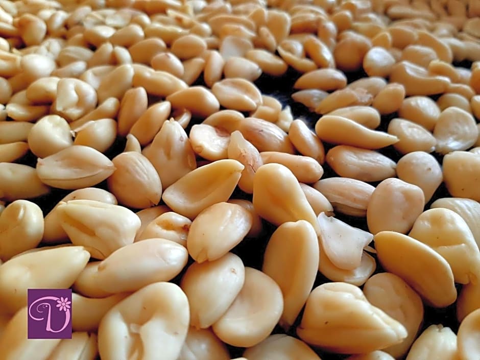 Donatella Bed and Breakfast