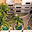 Casa Leah - Full Ocean View Apartment- Zicatela - AC in Bedroom - Steps To Beach - Steps to la Punta
