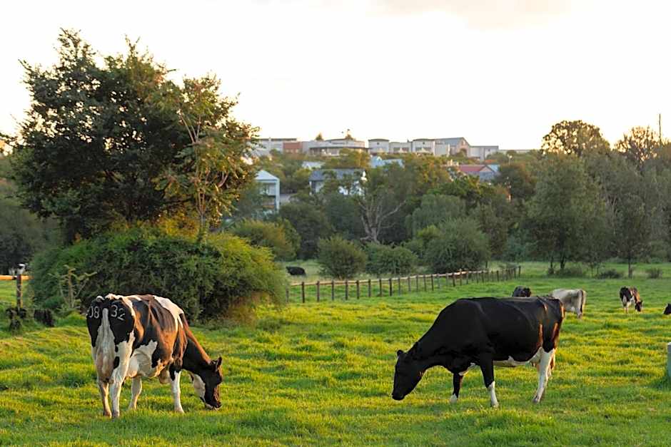Irene Country Lodge, Autograph Collection