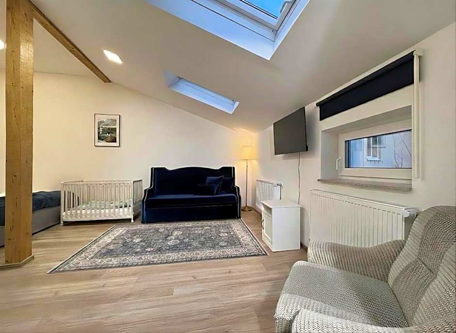 Apartments Romantic and Family Room Zemlinsky