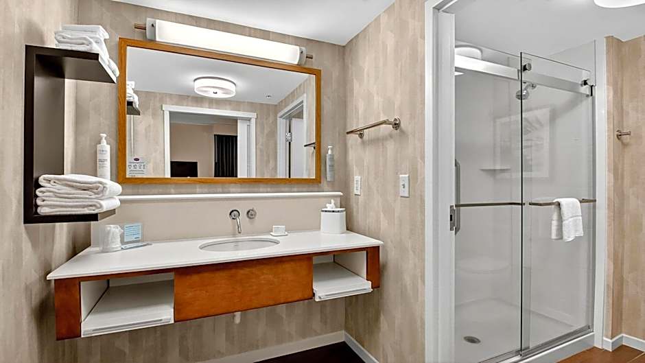 Hampton Inn By Hilton & Suites Chippewa Falls