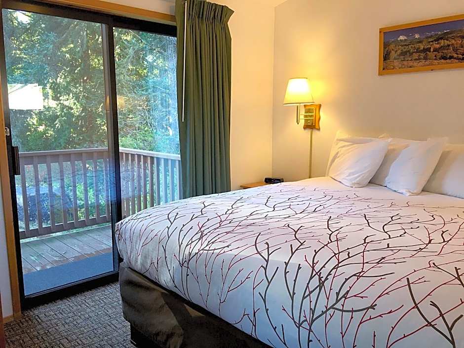 Park Motel and Cabins