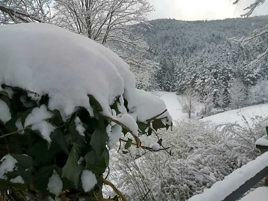 LANDSITZ OBERHOF petit hôtel