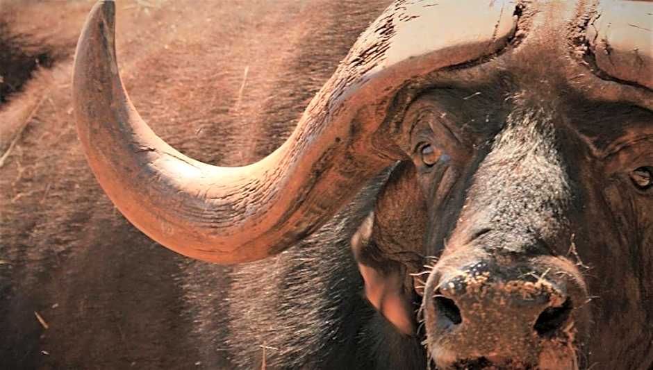 Kilima Private Game Reserve & Spa