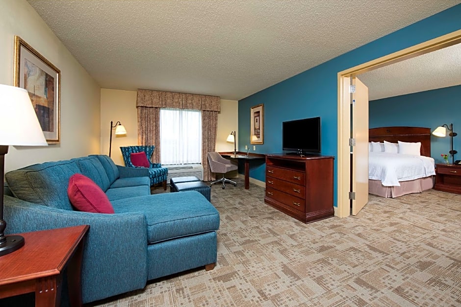 Photo 1 of 5 of 1 Bedroom 1 King Bed with Sofabed Suite